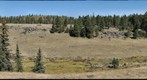 Mountain Meadow 1b - October 2008