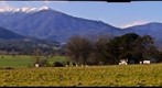 MT BOGONG VICTORIA B