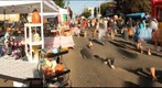 N.E. Alberta Street Fair, Portland Oregon