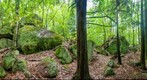 Cook Easement Erratics