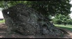 The Leesburg Conglomerate at Ida Lee Park