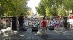 Hungarian dog performance - Szeged