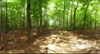 Dairy Bush GigaPan - 155 – August 15 2012 
