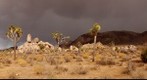 Approaching Storm Over Joshua Tree National Park
