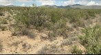 Jornada field reserach site