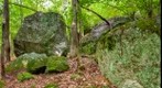 Glacial Erratics