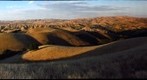 Golden Hills of California