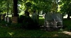 Tpronto Cemetary #3