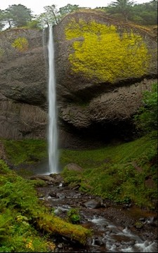 112571-225x360