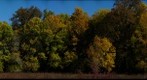 Fall color in Willits