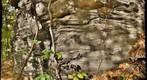 Folded Gneiss