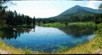 Oxbow in summer