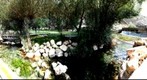 kayseri bünyan..