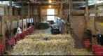 barn