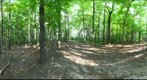 Dairy Bush GigaPan - 156 – August 22 2012