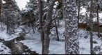 20101225-26-Hilton-Coylumbridge-Aviemore