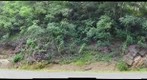 Rt 50 Cut_Mt Pleasant Syncline East Limb_8-20-12_#5
