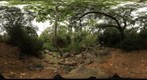 CR1 2012 08 24