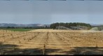 Tree farm