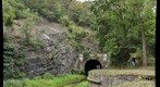 Paw Paw Tunnel, upstream exit