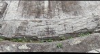 Slickensides on slabs of Brallier Formation shale, Paw Paw Tunnel