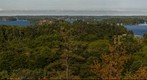 Early Morning view from Huckleberry Rock, Muskoka