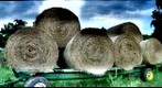 hay wagon