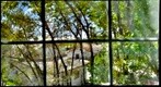 120825 1101 GigaPan Stitch 2.1.0160