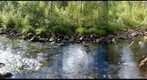 Bjurbacken South - 2012