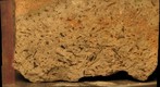 Hornblende Dacite, Black Butte, California