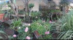 Jerusalem SPNI 4