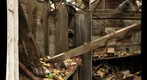 Old Shed