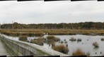 Commercial Township Wetland Restoration Site