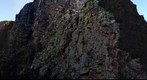 Life On The Edge