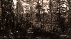 Lost 