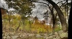 Pennypack