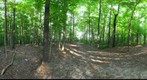 Dairy Bush GigaPan - 157 – August 30 2012 