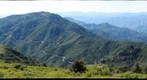 遥望妙峰山