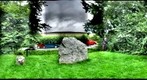 Winterbourne Abbus 9 Stone Circle