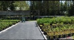 GNP Native Plant Nursery, Sept. 2012