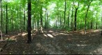 Dairy Bush GigaPan - 158 – September 05 2012 