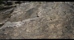 Slab of Massanutten Sandstone