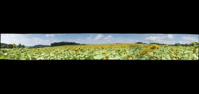 113865-400x189
