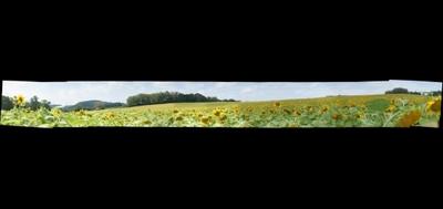 113866-400x189