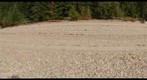 A Favorite Spot on the Arrow Lakes