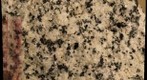 Giant Forest Granodiorite