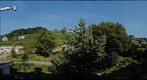 Vineyard behind the house