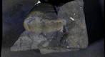 Snowball Earth Educational Rock Sample Suite 17