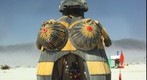 Secret of the Bees