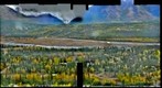 Glacier View Camp Area Alaska